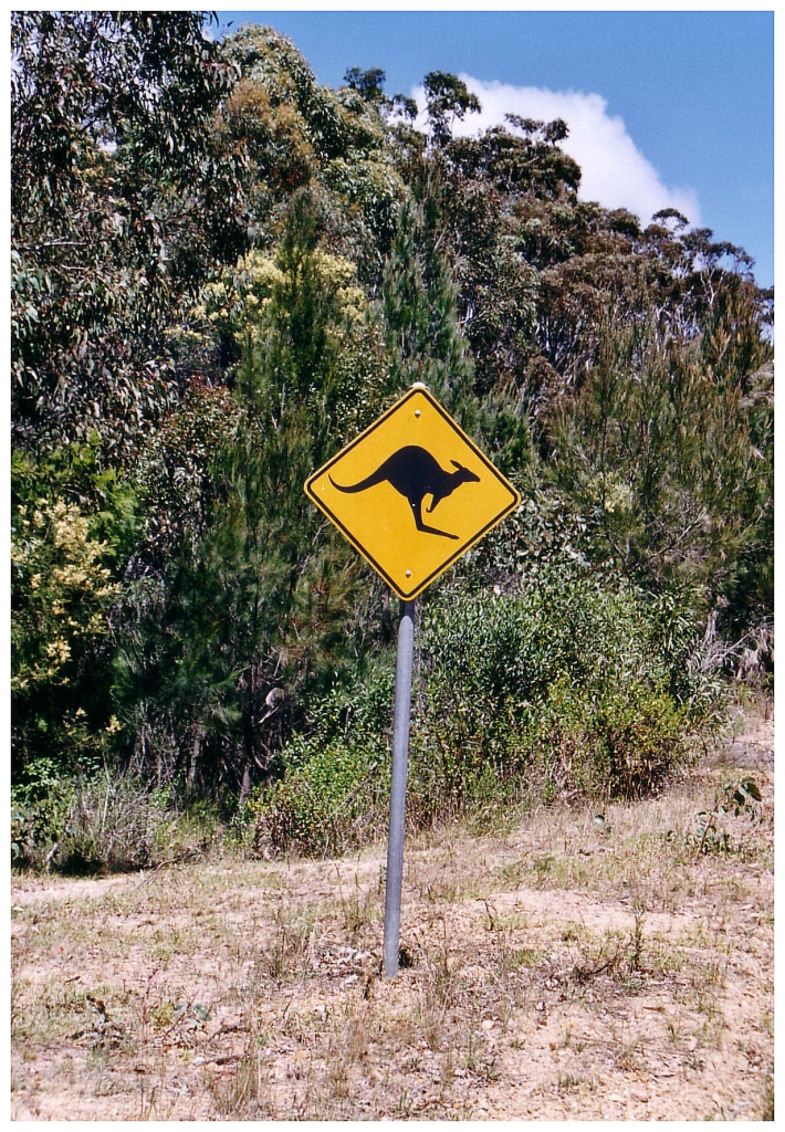 02 - Blue Montains (12).jpg